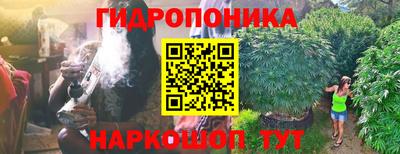 прущий лед Будённовск