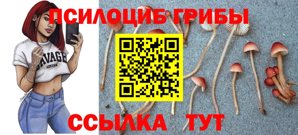 Выкса  Галлюциногенные грибы Psilocybine cubensis  Псилоцибиновые грибы мицелий  Вход с VPN 