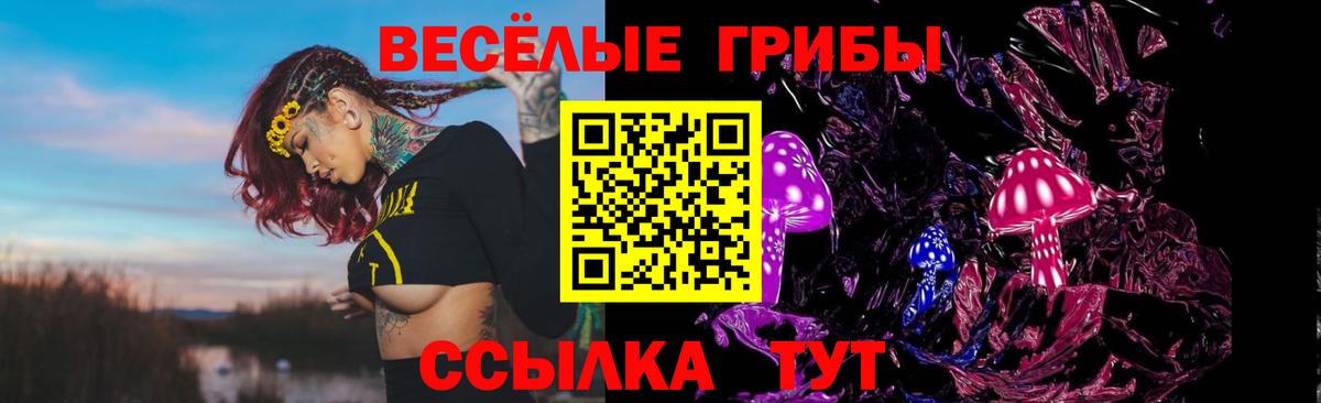 Псилоцибиновые грибы прущие грибы Выкса